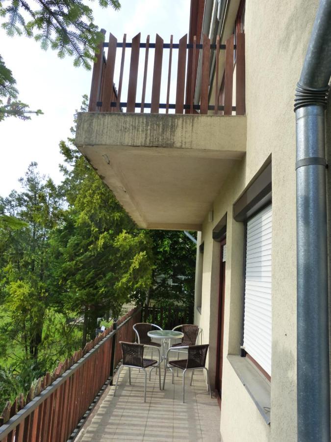 Willa House Elisabeth Balaton Vonyarcvashegy Zewnętrze zdjęcie